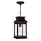 Cwi Lighting Milford 1 Light Outdoor Black Pendant 0418P7S-1 - alternate 1